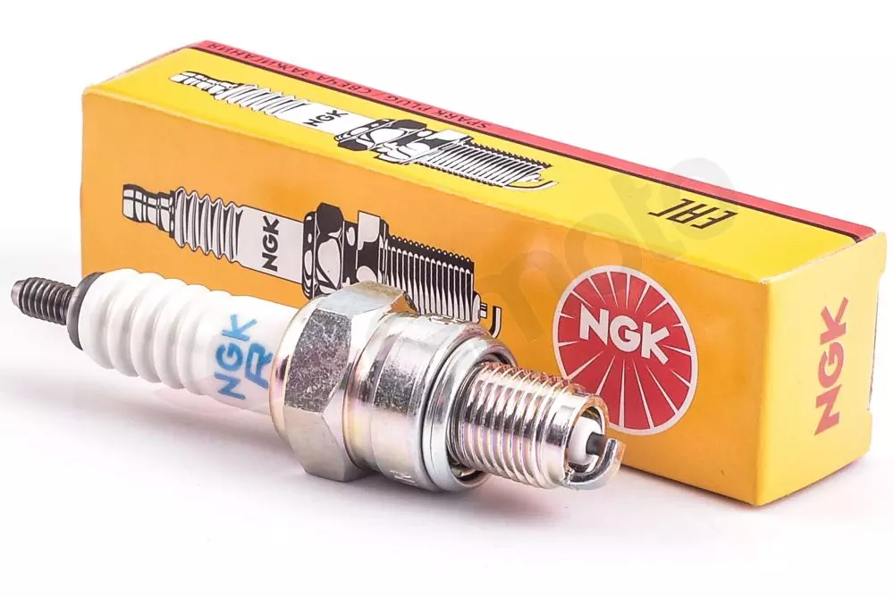 gmoto-1239202