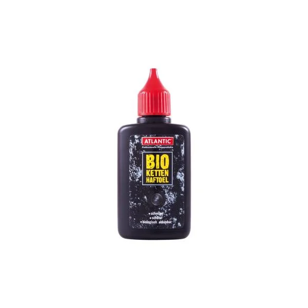hollandbikeshop1-1204163