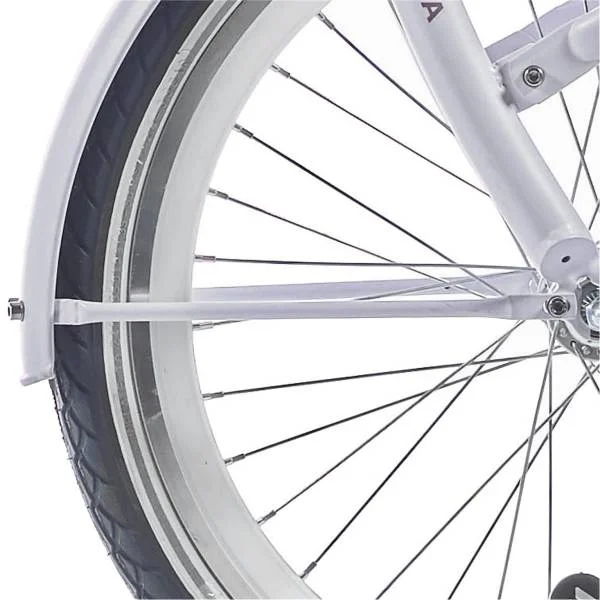 hollandbikeshop2-1333938
