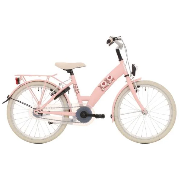hollandbikeshop2-1354647